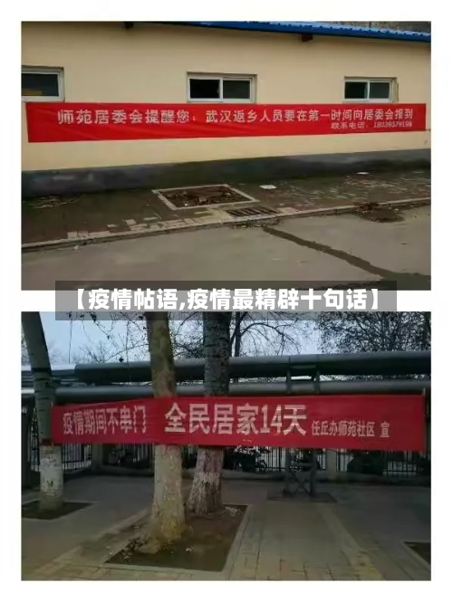 【疫情帖语,疫情最精辟十句话】