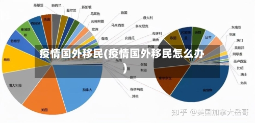 疫情国外移民(疫情国外移民怎么办)-第2张图片