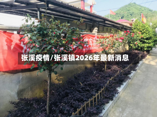 张溪疫情/张溪镇2026年最新消息