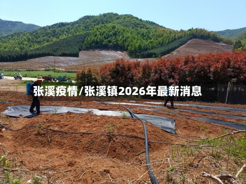张溪疫情/张溪镇2026年最新消息-第2张图片