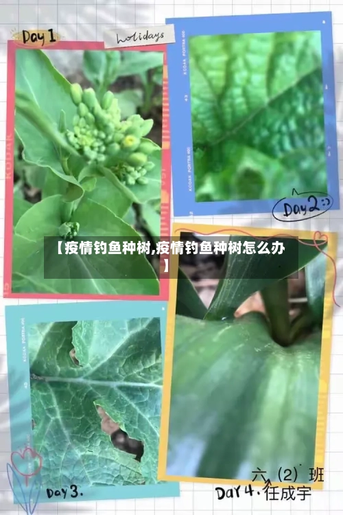 【疫情钓鱼种树,疫情钓鱼种树怎么办】-第2张图片
