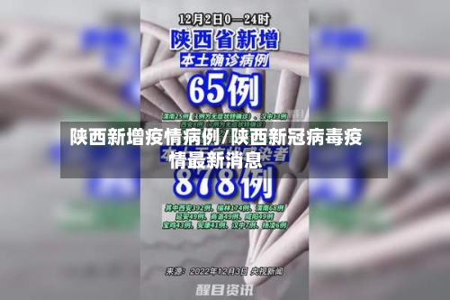 陕西新增疫情病例/陕西新冠病毒疫情最新消息-第2张图片