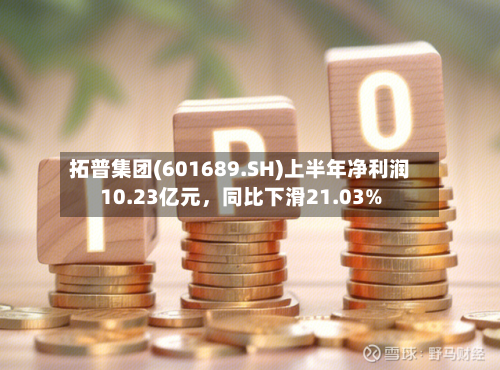 拓普集团(601689.SH)上半年净利润10.23亿元	，同比下滑21.03%-第2张图片