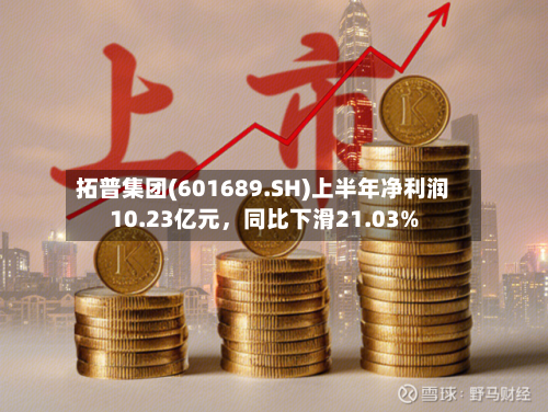 拓普集团(601689.SH)上半年净利润10.23亿元，同比下滑21.03%