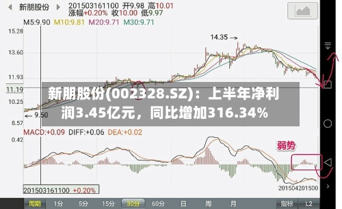 新朋股份(002328.SZ)：上半年净利润3.45亿元，同比增加316.34%-第2张图片