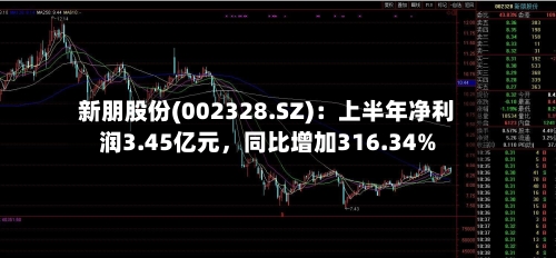 新朋股份(002328.SZ)：上半年净利润3.45亿元，同比增加316.34%