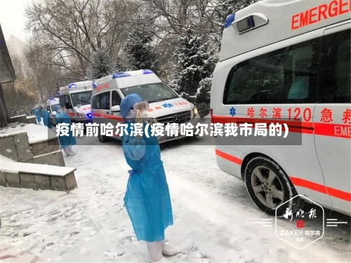 疫情前哈尔滨(疫情哈尔滨我市局的)-第2张图片
