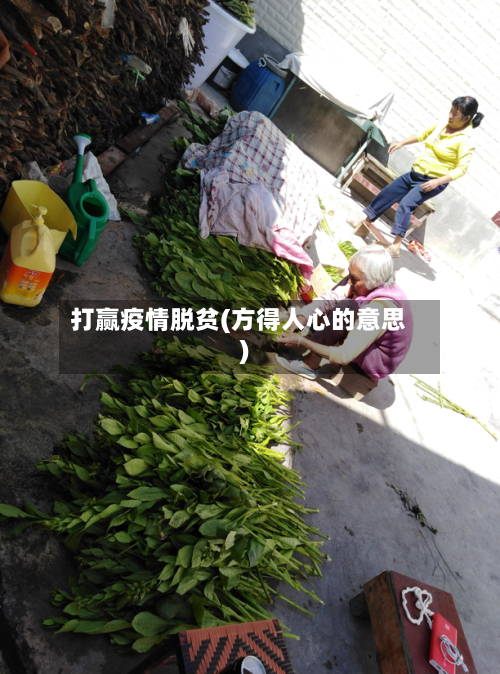 打赢疫情脱贫(方得人心的意思)