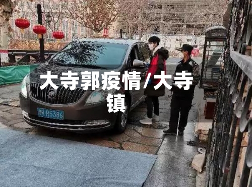 大寺郭疫情/大寺镇