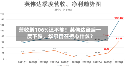营收增106%还不够！英伟达盘后一度下跌，华尔街在担心什么？-第2张图片