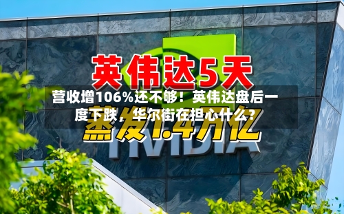 营收增106%还不够！英伟达盘后一度下跌，华尔街在担心什么？