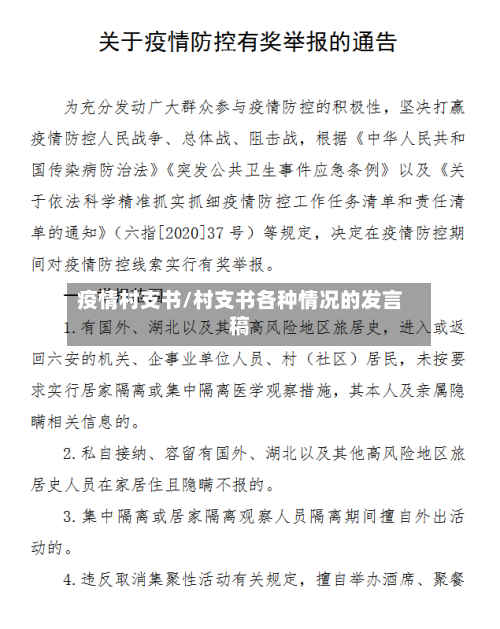 疫情村支书/村支书各种情况的发言稿-第2张图片