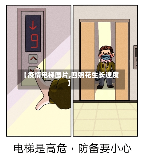 【疫情电梯图片,四照花生长速度】