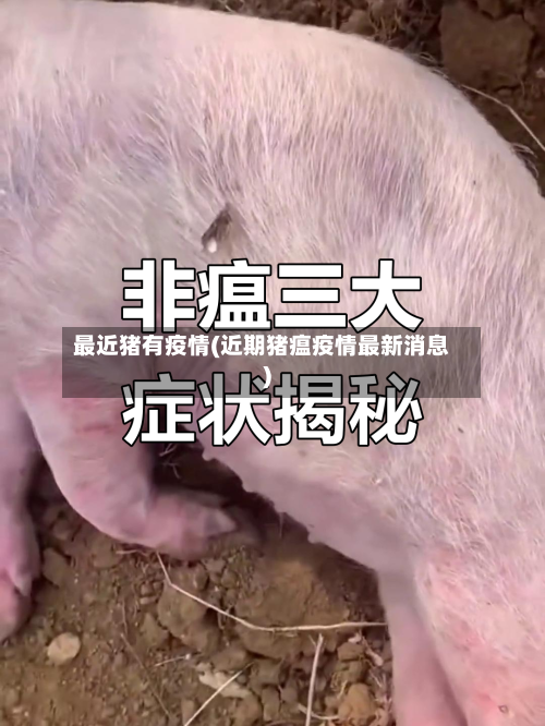 最近猪有疫情(近期猪瘟疫情最新消息)